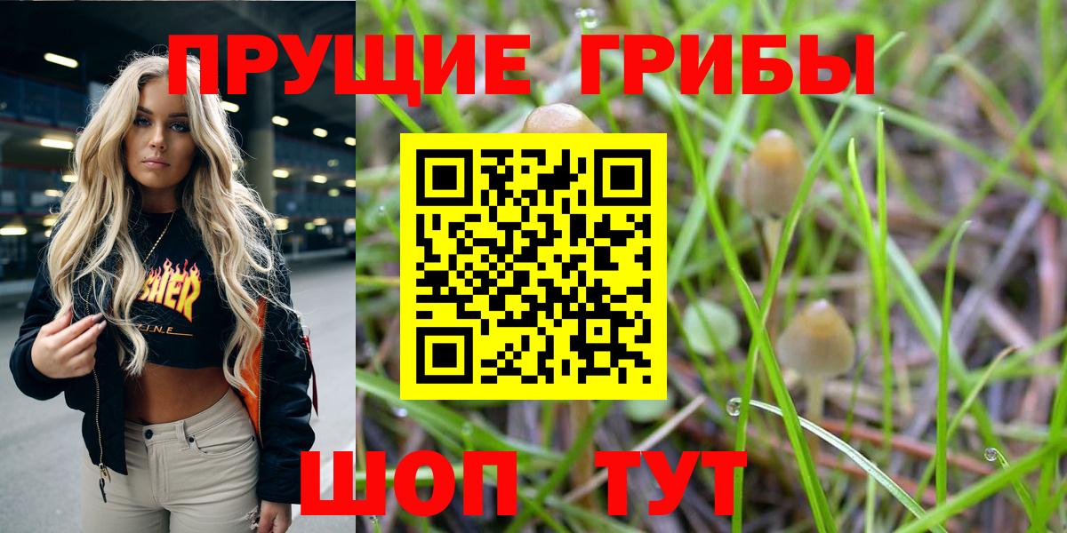 Галлюциногенные грибы Magic Shrooms Екатеринбург