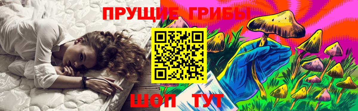 Екатеринбург  где купить наркоту  Галлюциногенные грибы Cubensis  Вход с VPN  Галлюциногенные грибы мицелий 